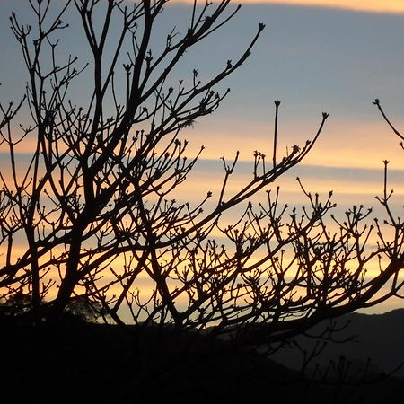 Vale Do Piemonte "Chales " Санту-Антоніу-ду-Піннял Екстер'єр фото